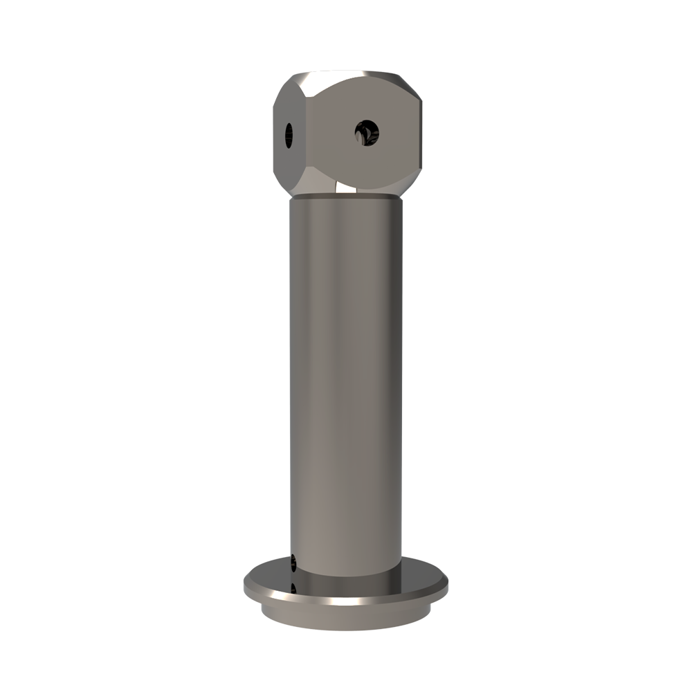 Extensions; base: titanium; stem: titanium