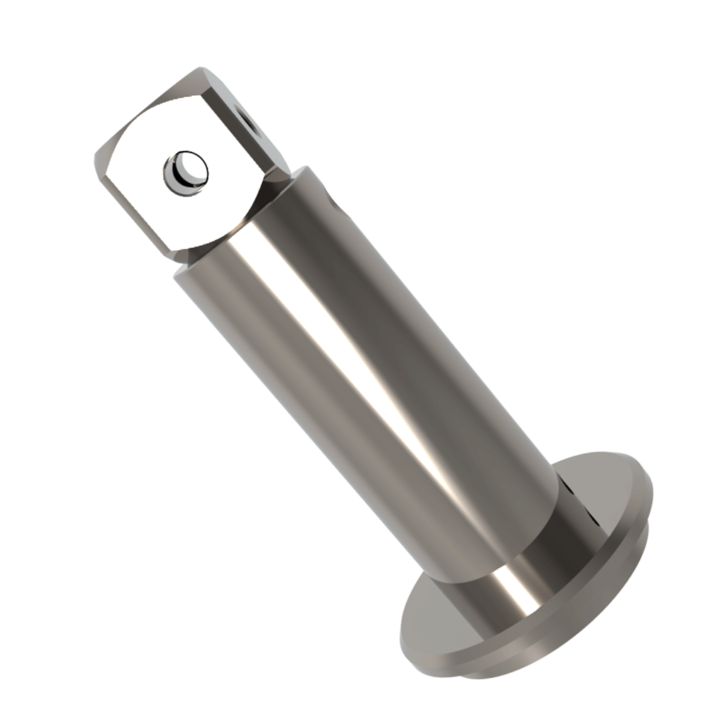 Extensions; base: titanium; stem: titanium